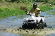 Quad Biking in Marbella - Our Customers Feedback and Comments